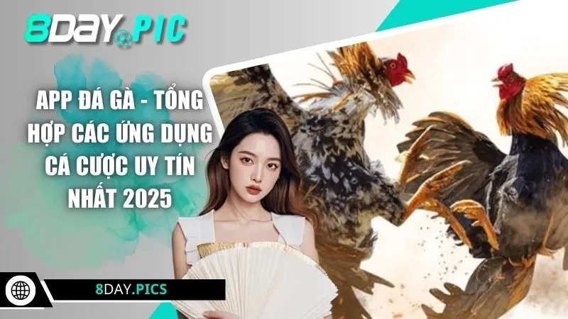 app đá gà